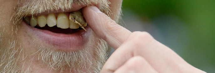 SNUSER:Nordmenn snuser langt mer enn før. Snus kan føre til sykdommer som kreft og diabetes.